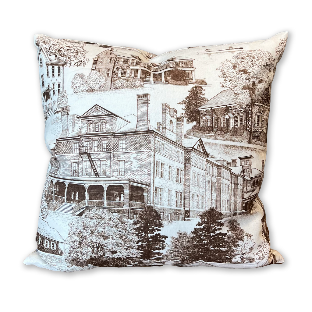 Westtown Toile Pillow - 22x22